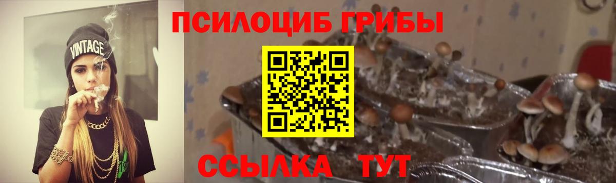 Псилоцибиновые грибы Psilocybine cubensis  Галлюциногенные грибы Psilocybe  Ангарск  Вход с VPN 